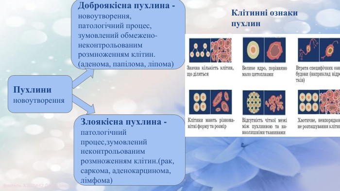 Комунікаційна стратегія щодо профілактики злоякісних новоутворень