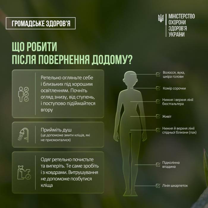 Що робити, якщо кліщ вас вкусив?
