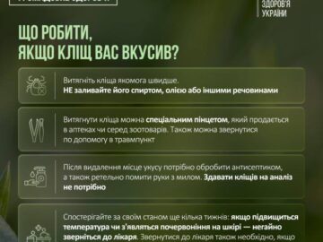Що робити, якщо кліщ вас вкусив?