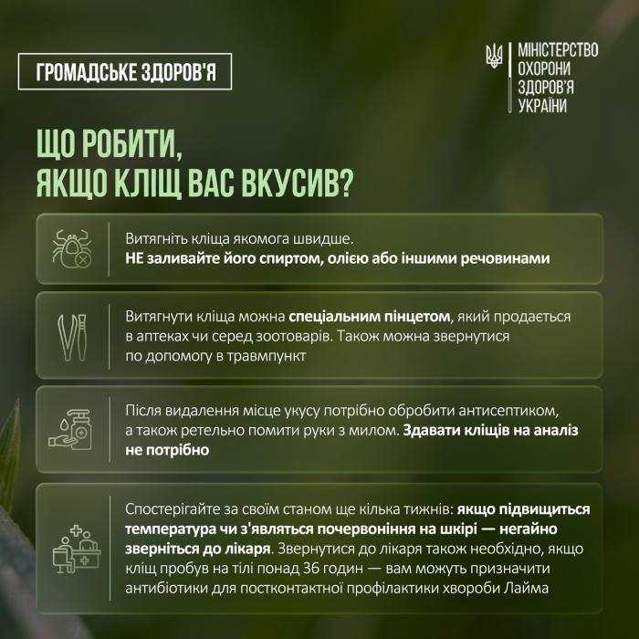 Що робити, якщо кліщ вас вкусив?