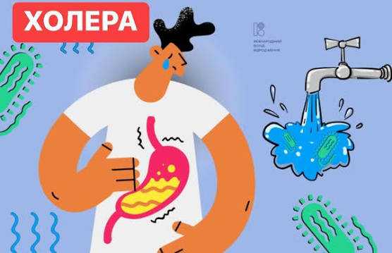 Профілактика холери Профілактика холери